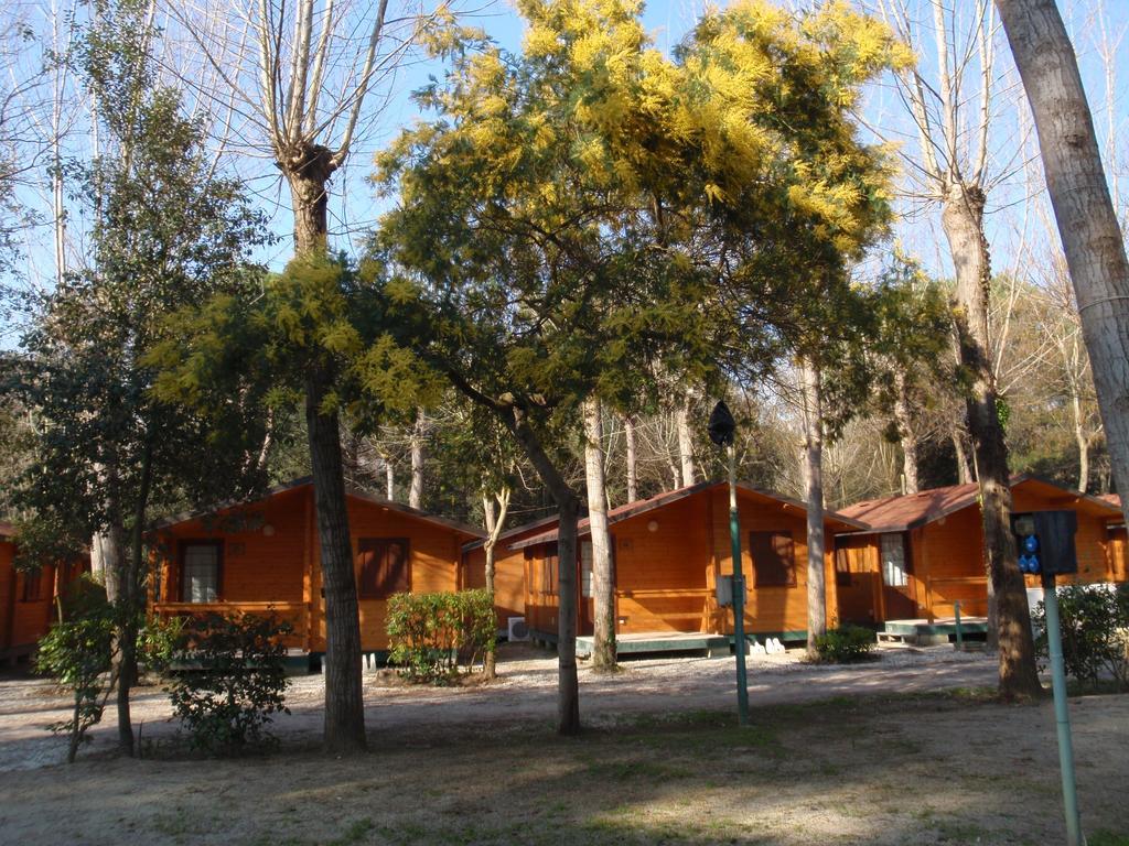 Campeggio Boscoverde Torre do Lago Puccini Exterior foto